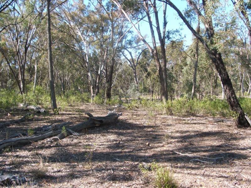 Lot 2 Reedy Creek Road, Karara QLD 4352
