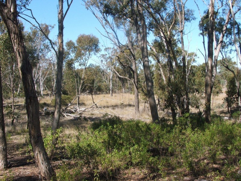 Lot 2 Reedy Creek Road, Karara QLD 4352