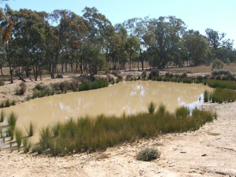 Lot 2 Reedy Creek Road, Karara QLD 4352