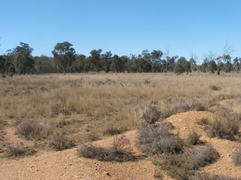 Lot 2 Reedy Creek Road, Karara QLD 4352