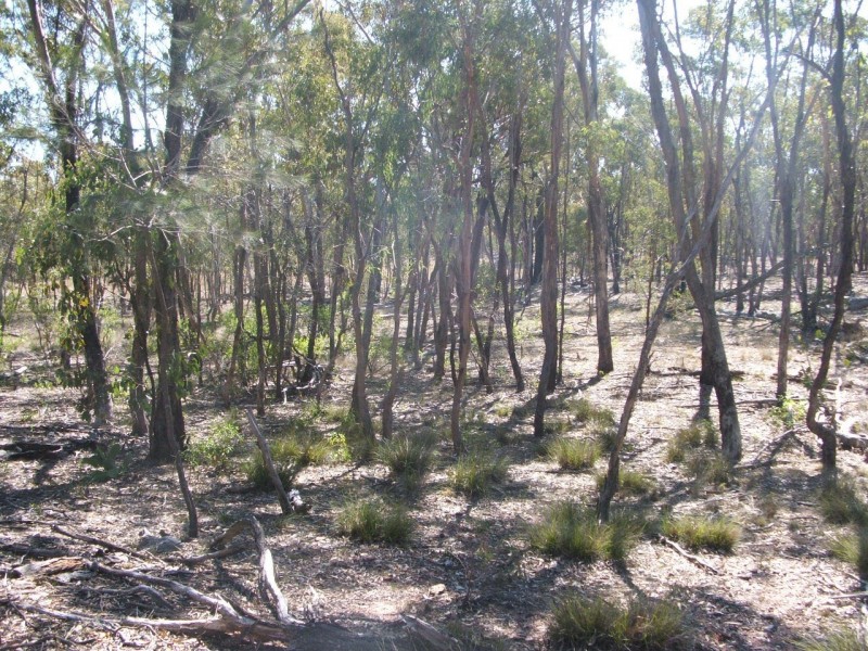 Lot 2 Reedy Creek Road, Karara QLD 4352