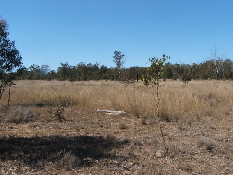 Lot 2 Reedy Creek Road, Karara QLD 4352