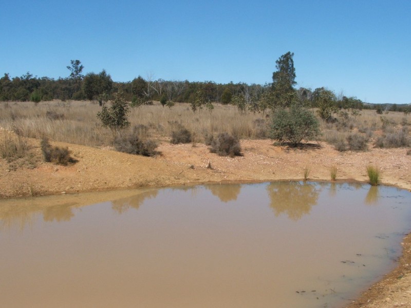 Lot 2 Reedy Creek Road, Karara QLD 4352