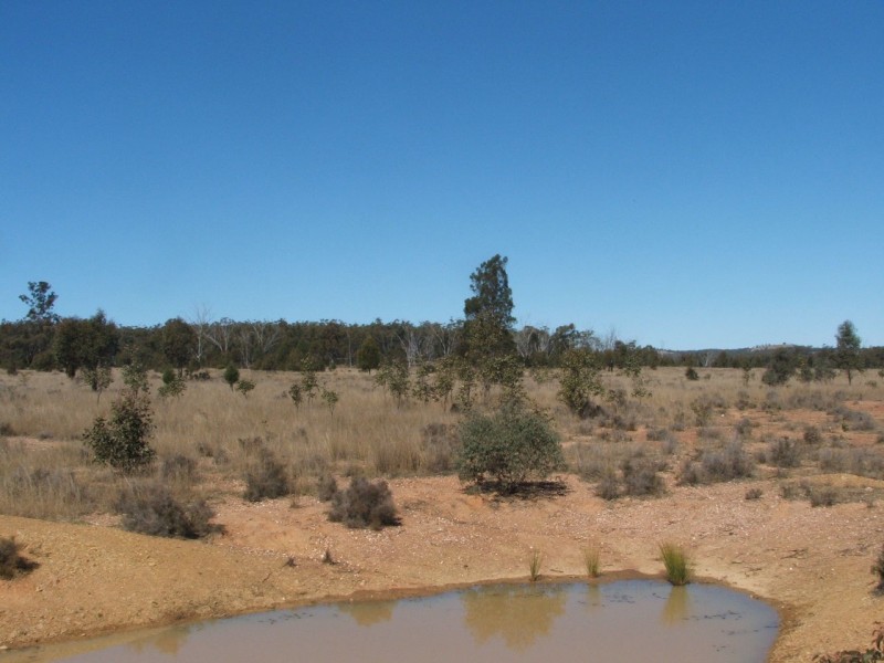 Lot 2 Reedy Creek Road, Karara QLD 4352