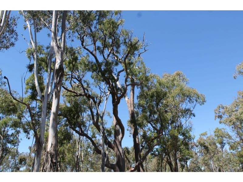 L9 Quigleys Road, Warwick QLD 4370