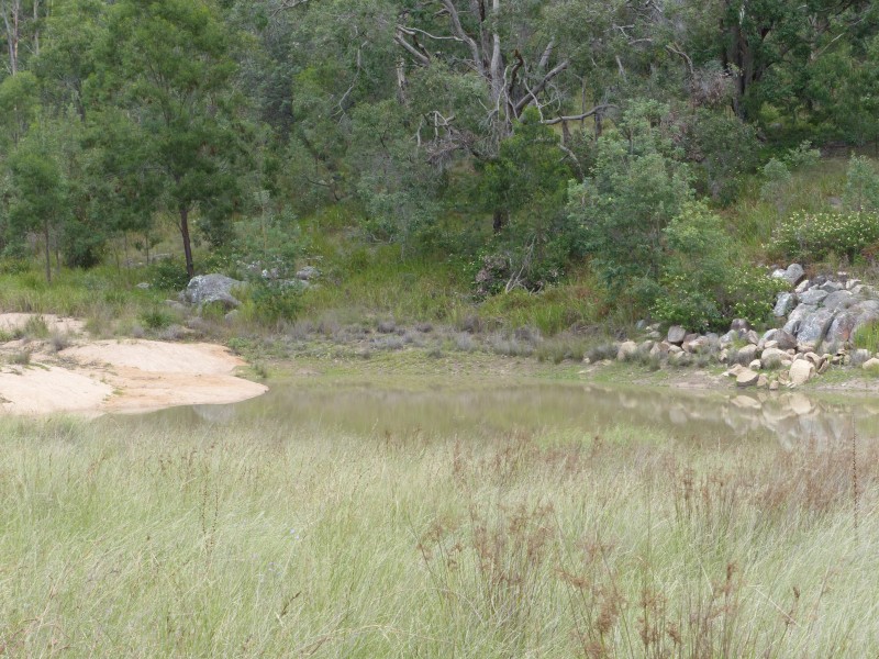 188 Border Fence Rd, Elbow Valley QLD 4370