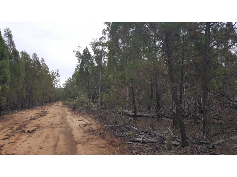 Lot 4 Bosnjaks Road, Glenarbon QLD 4385