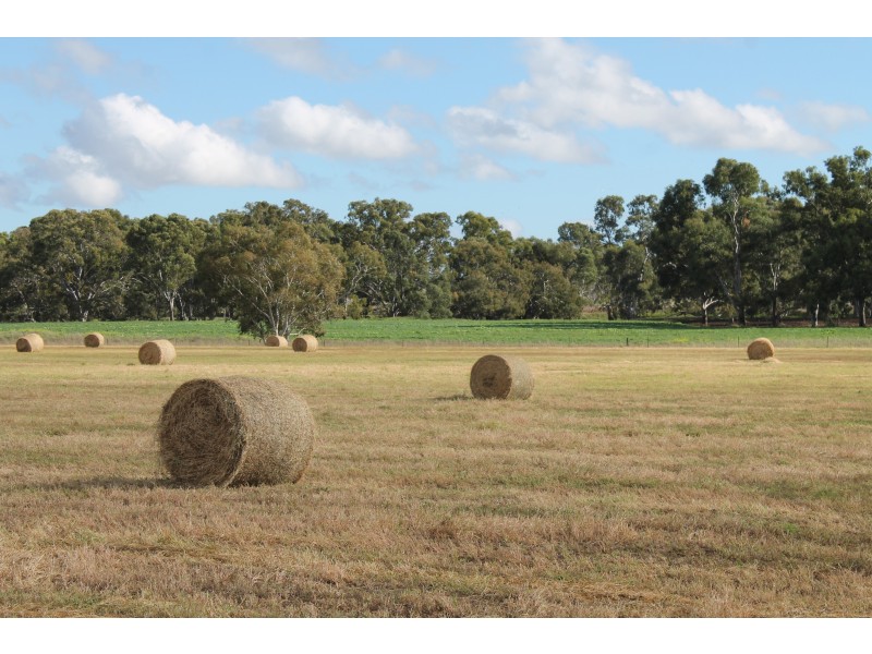 3897 Leyburn Cunningham Rd, Wheatvale QLD 4370