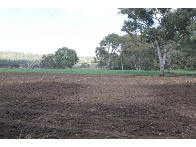 3897 Leyburn Cunningham Rd, Wheatvale QLD 4370