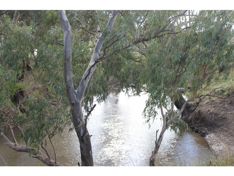 3897 Leyburn Cunningham Rd, Wheatvale QLD 4370