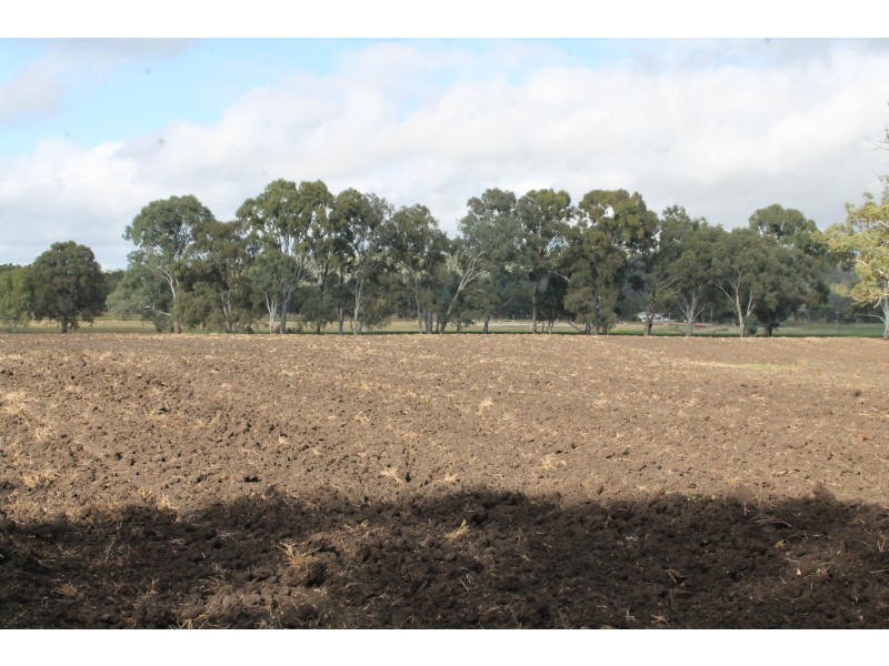 3897 Leyburn Cunningham Rd, Wheatvale QLD 4370