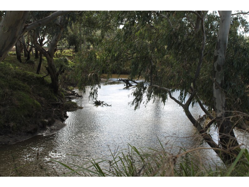 3897 Leyburn Cunningham Rd, Wheatvale QLD 4370