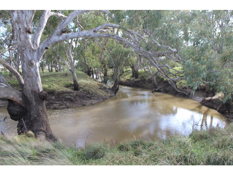 3897 Leyburn Cunningham Rd, Wheatvale QLD 4370