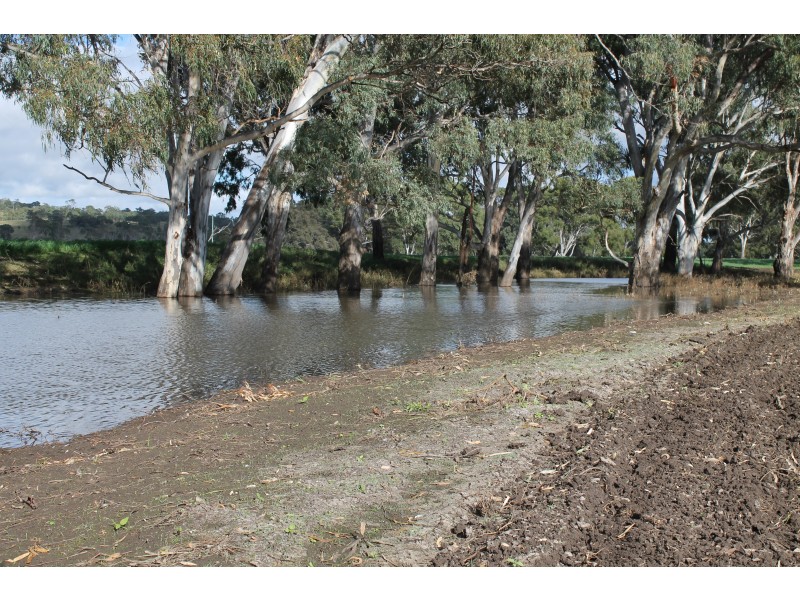 3897 Leyburn Cunningham Rd, Wheatvale QLD 4370