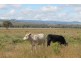 1595 Junabee Rd, Junabee QLD 4370