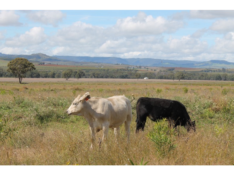 1595 Junabee Rd, Junabee QLD 4370