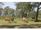 1595 Junabee Rd, Junabee QLD 4370