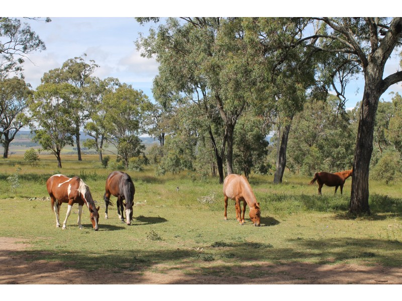 1595 Junabee Rd, Junabee QLD 4370