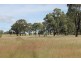 1595 Junabee Rd, Junabee QLD 4370