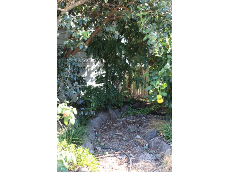 30 Locke St, Warwick QLD 4370