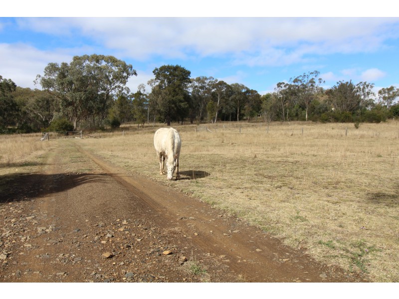 463 Charleys Gully Rd, Freestone QLD 4370