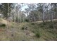 463 Charleys Gully Rd, Freestone QLD 4370