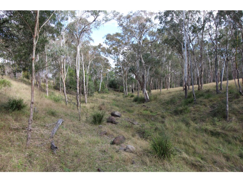 463 Charleys Gully Rd, Freestone QLD 4370
