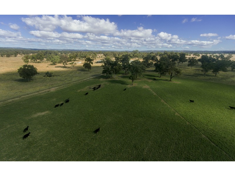 Lot 11 Montrose Lane, Greymare QLD 4370