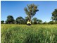 Lot 11 Montrose Lane, Greymare QLD 4370
