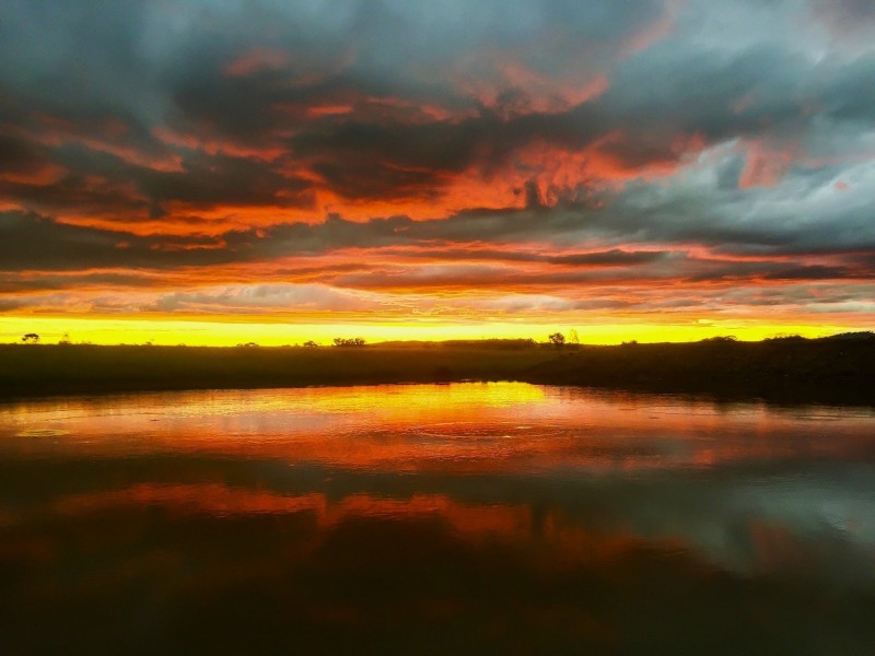 Lot 11 Montrose Lane, Greymare QLD 4370