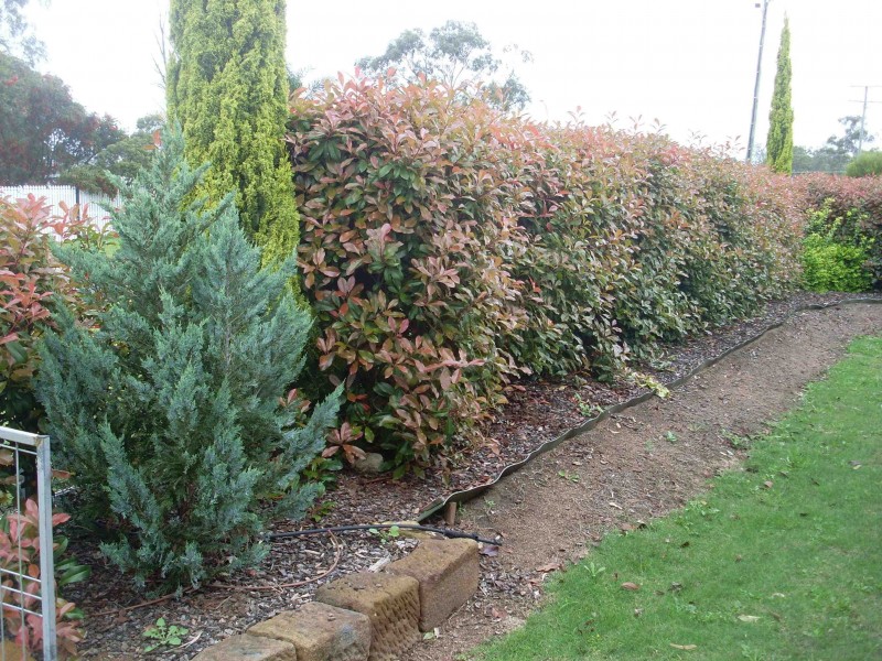 16 Peace Street, Warwick QLD 4370