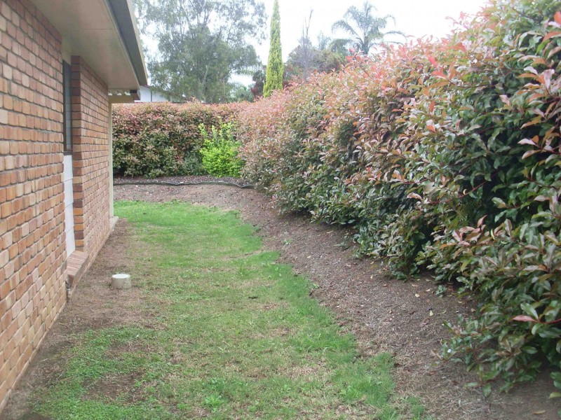 16 Peace Street, Warwick QLD 4370