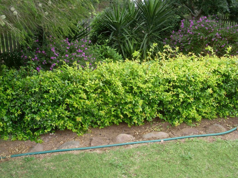 16 Peace Street, Warwick QLD 4370