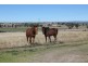 40 Manwarings Rd, Swan Creek QLD 4370