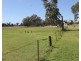 126 White St, Pratten QLD 4370