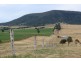 Lot 1 Deveneys Road, Yangan QLD 4371