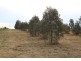 Lot 1 Deveneys Road, Yangan QLD 4371
