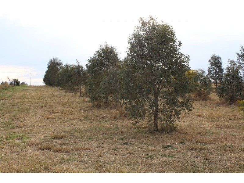 Lot 1 Deveneys Road, Yangan QLD 4371