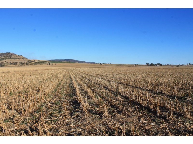 Lots/419 & 420 Top Swanfels Road, Yangan QLD 4371