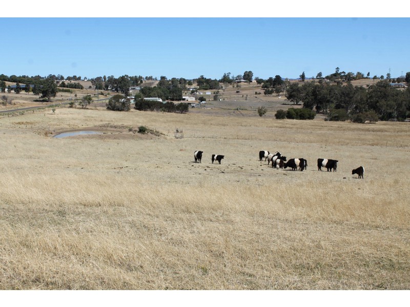 273 Lyndhurst Lane, Warwick QLD 4370