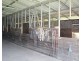 87 Lagoon Creek Rd, West Haldon QLD 4359