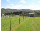 87 Lagoon Creek Rd, West Haldon QLD 4359