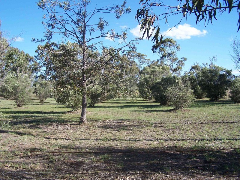 43 Elliot St, Pratten QLD 4370