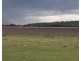 594 Talgai West Rd, Talgai QLD 4362