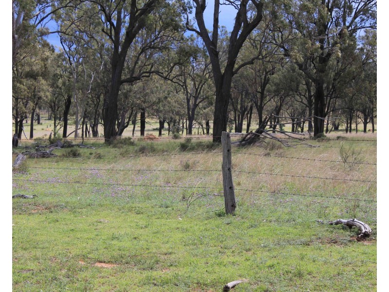 594 Talgai West Rd, Talgai QLD 4362