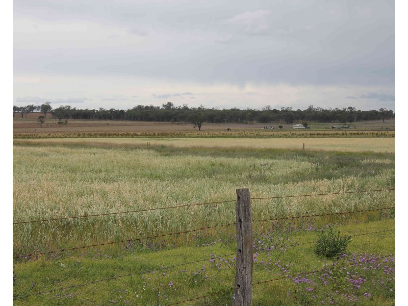 594 Talgai West Rd, Talgai QLD 4362