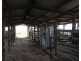 594 Talgai West Rd, Talgai QLD 4362