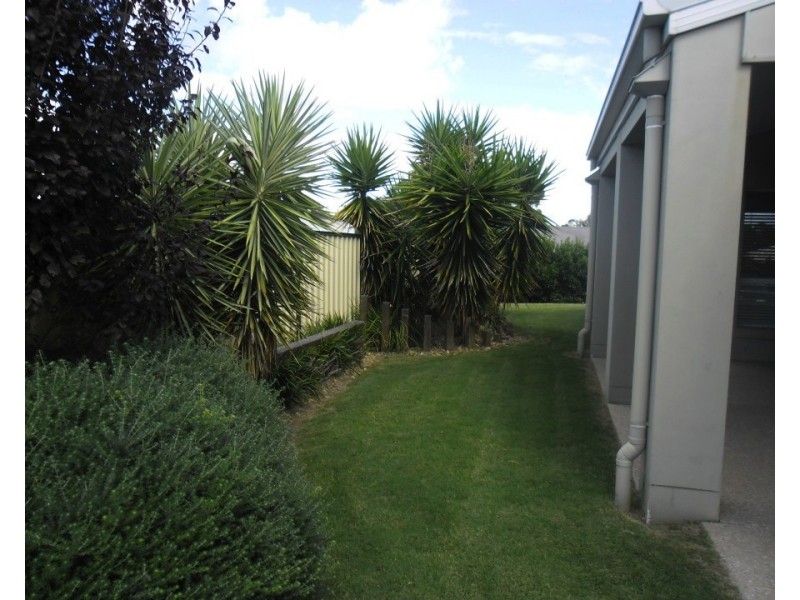11 Floribunda Ave, Warwick QLD 4370
