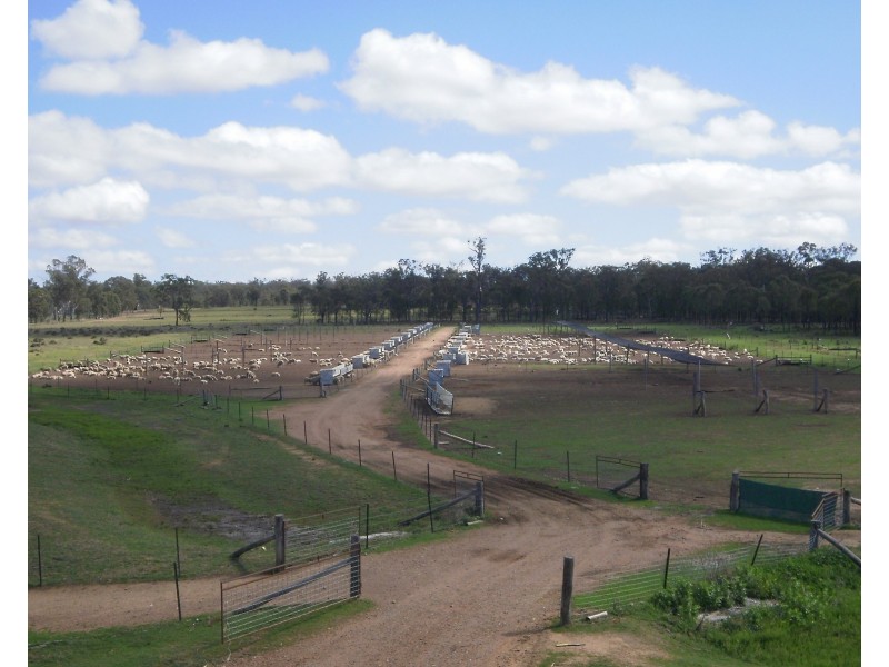 1110 Talgai West Rd, Victoria Hill QLD 4361