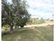 975 Killarney Barlows Gate Rd, Elbow Valley QLD 4370